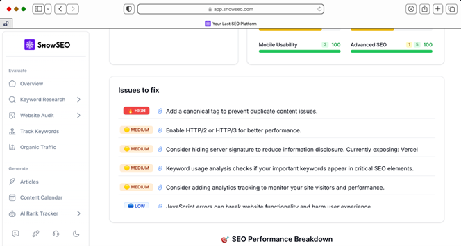 SnowSEO Site Audit